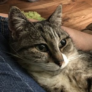 Meet your Posher, Melody